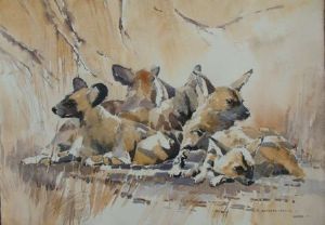 "Wild Dog"