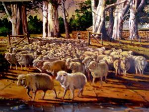 "Merino and Bluegums"