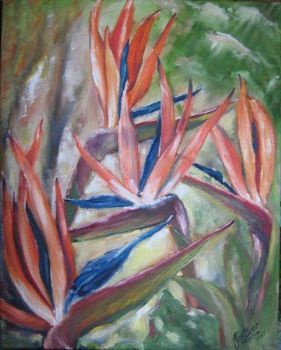 "Strelitzia"