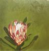 "Fynbos 62, Protea Susannae"