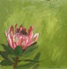 "Fynbos 56, Protea Eximia"