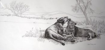 "Lionesses Grooming"