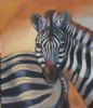 "Zebra Portrait"