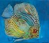 "Angel Fish"