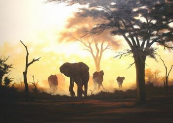 "Moremi Sunset"