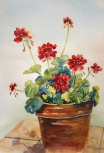 "Geranium Pot"