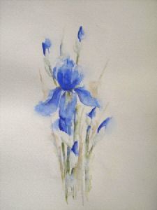 "Iris II"