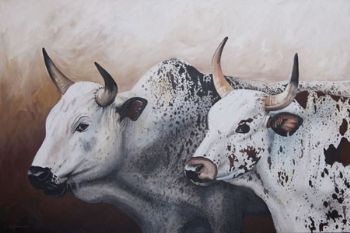"Two Ngunis"