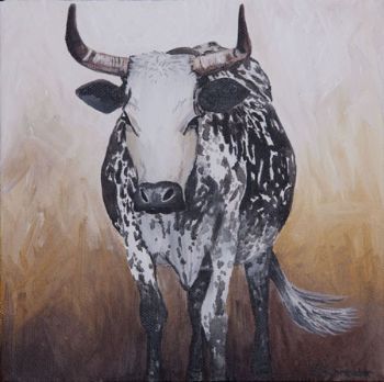 "Nguni 3"