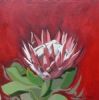 "Fynbos 66, Giant Protea"