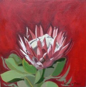 "Fynbos 66, Giant Protea"