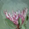 "Fynbos 71, Giant Protea"