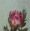 "Fynbos 72, Protea Compacta"