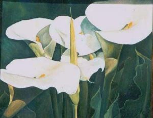 "Arum Lilies"