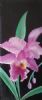 "Mythical Orchid"