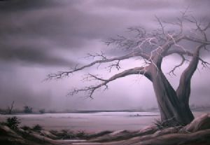 "Storm over Kubu Island, Botswana"