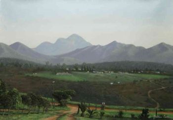 "Steyn Farm"