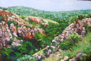 "Grootkloof Gorge, Magaliesberg"