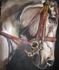 "Horse 3"