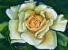 "Rose in White"