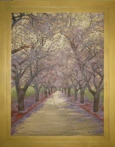 "Jacaranda Avenue"