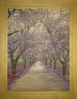 "Jacaranda Avenue"