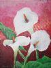 "Arum Lilies"