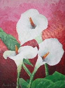 "Arum Lilies"