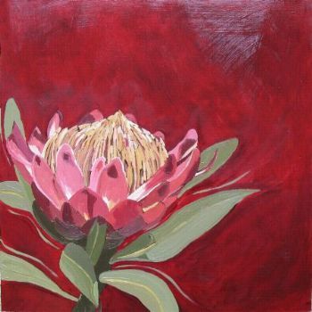 "Fynbos 75, Protea Caffra"