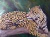 "Leopard"