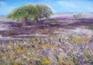"Spring Field"