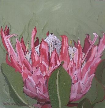 "Fynbos 77, Giant Protea"