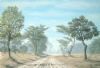 "Misty Meanderings"