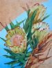 "Yellow Proteas"