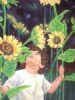 "sonneblomme"