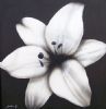 "Black and White Flower"