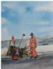 "Hermanus Street Cleaner"