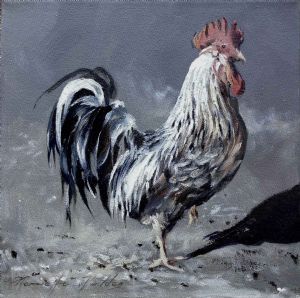 "Cock"