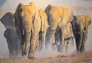 "To the Waterhole"