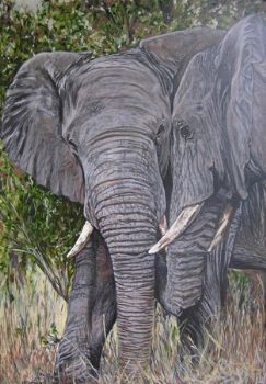 "Elephant Greeting"