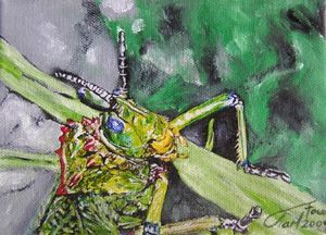 "Bugs - Hopper"