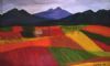 "Colorful Fields"