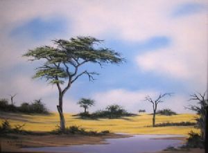 "Landscape - Makgadikgadi"