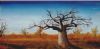 "Baobab Tree"