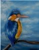 "Kingfisher"