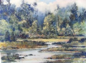 "Forest Scene Wilderness"
