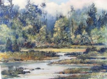 "Forest Scene Wilderness"