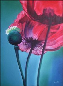 "Purple Poppy"