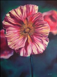 "Pink Poppy"