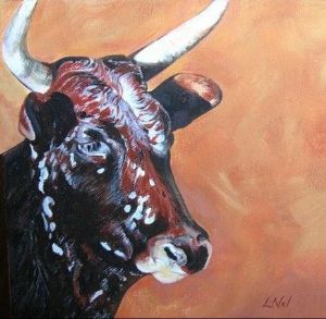 "Nguni Cow"